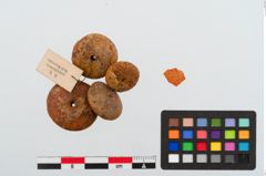 Foto von Perlenkette (NHMW-PRAE-023980)